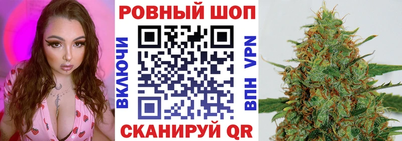 Псилоцибиновые грибы Белокуриха