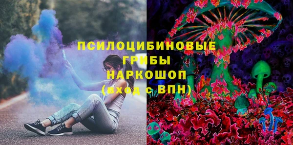 стаф Михайловск