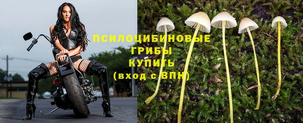 PSILOCYBIN Баксан