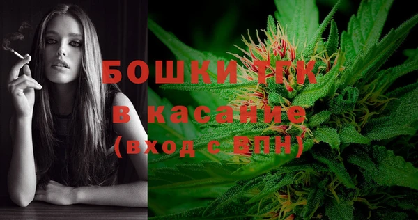 PSILOCYBIN Баксан