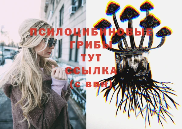 крисы Медногорск