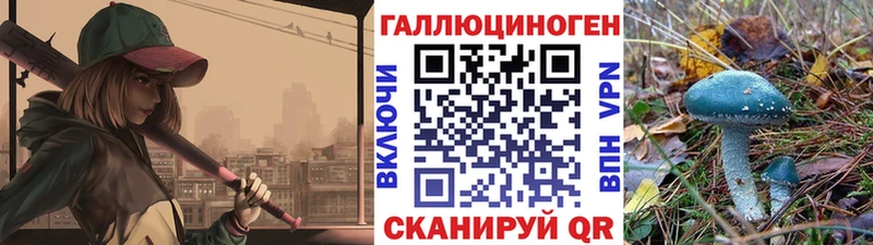 дарнет шоп  Белокуриха  Псилоцибиновые грибы Magic Shrooms 