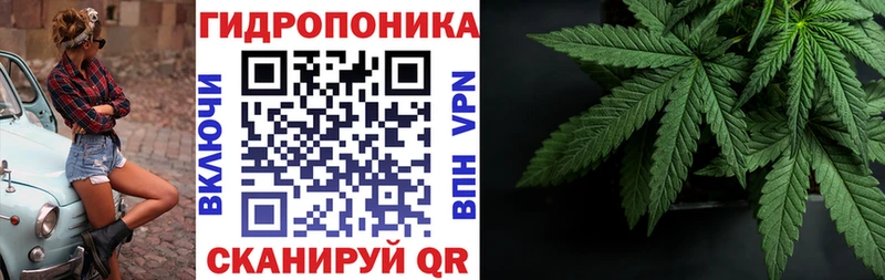 Канабис White Widow  где продают наркотики  Белокуриха 